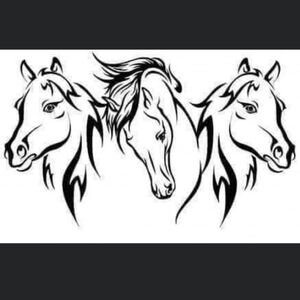 Wild Horses Animal Vinyl Graphic Auto Laptop Car Wall Decor Decal Bumper Sticker